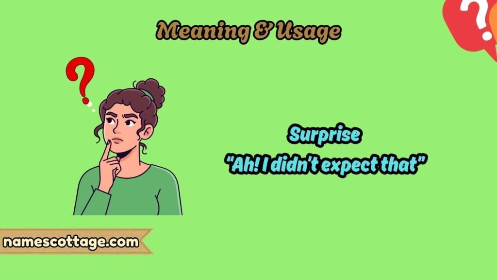 Meaning & Usage