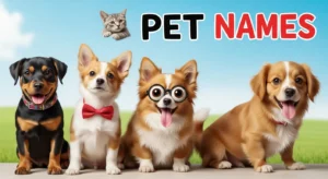Pet Names