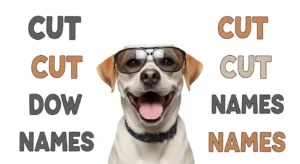 cute dog names