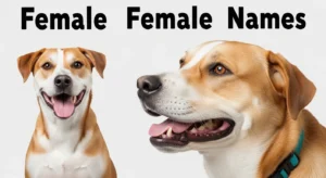 female dog names