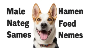 male dog names