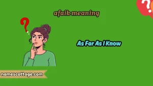 afaik meaning