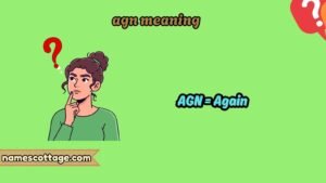 agn meaning